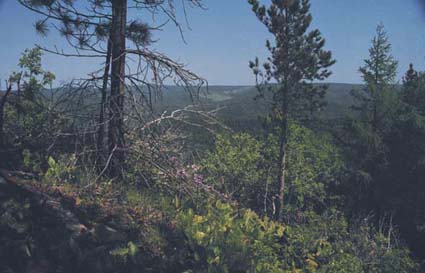 Landschaft am Baikal.
